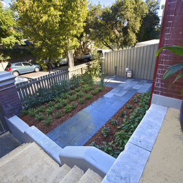 Petersham Front Garden / Petersham Landscape / Petersham Plants