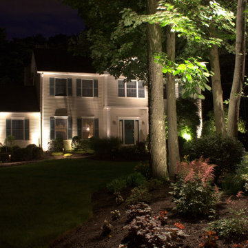 Beauty in the Landscape Lighting