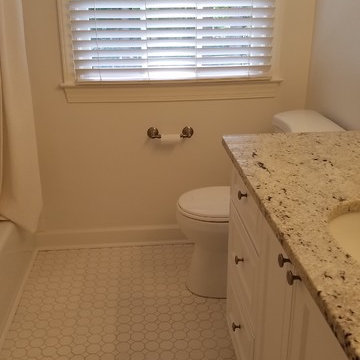 Guest Bathroom Remodel