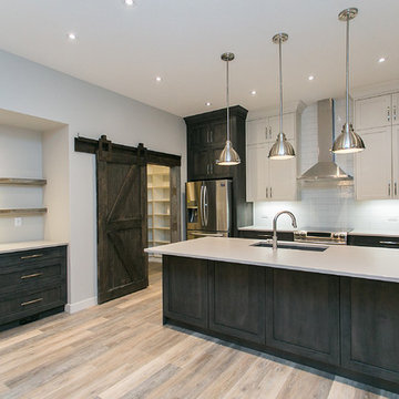 Modern/Contemporary Home