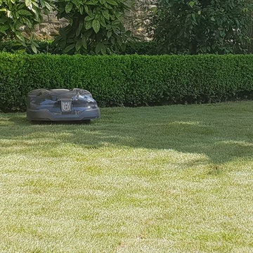 Aménagement d'un jardin de ville