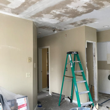 Previous Work Home Design - Mountain Condo