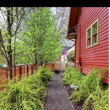 Landscape Ideas