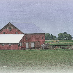 Photographic Artwork - Photographs