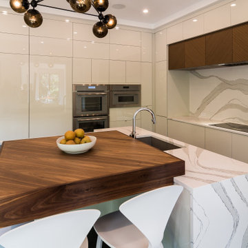 McLean- Transforming a Traditional House into a Modern Home