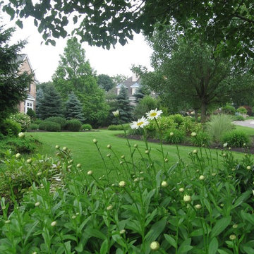 Lawn Maintenance