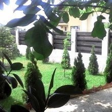 Green_spaces_1