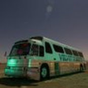 M Wilson's photo