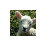 Glenn Newbery's photo