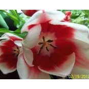 Barbara Gilmer's photo