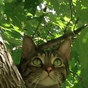 Betty Dougherty's photo