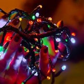 Barbara Aronica's photo