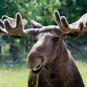 Rhonda Harney's photo