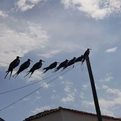 Gary Alexander's photo