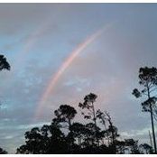 Krista McCallum's photo