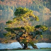 Debra Carson's photo