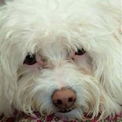Rita DeVore's photo