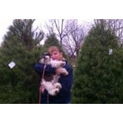 Tanya Dodson's photo