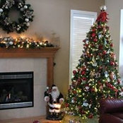 Terry Williams's photo