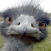 Aron Beninghove's photo