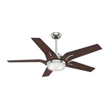 Ceiling Fans