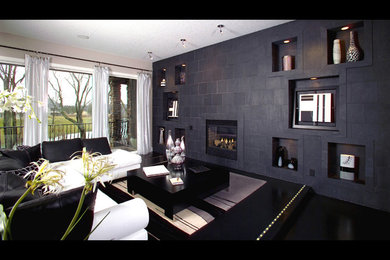 Living room - contemporary living room idea in Other