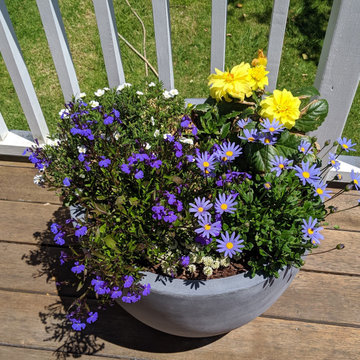 Potted Patio
