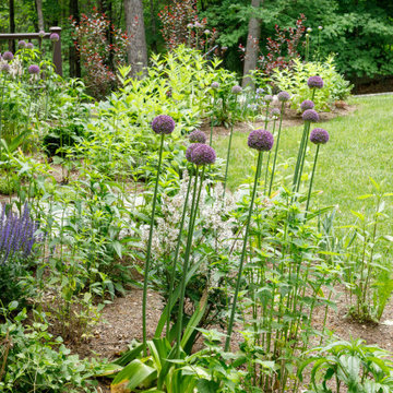 Herbal Children's Garden