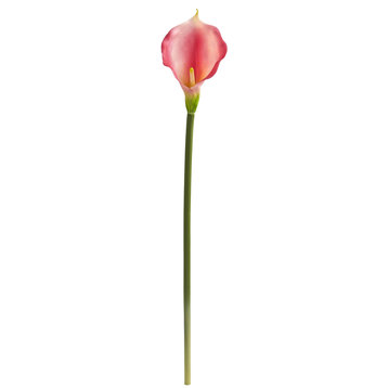 Nearly Natural 28" Calla Lily Artificial Flower (Set of 12)