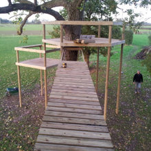 Treehouses