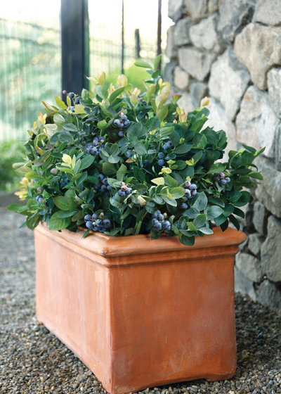 Landscape by Fall Creek Farm & Nursery, Inc.