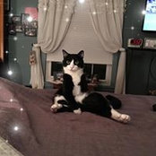 Leslee Popovich-Smith's photo