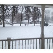 Lisa Crystall's photo
