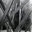 Massarente Architettura s.r.l.