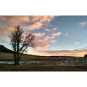 Jill MacRae's photo