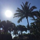 Stacey Scachette's photo
