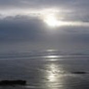 Meghan MacGabhann's photo