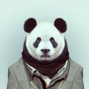 Chris Chernoff's photo