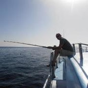 Nathan Hartley's photo