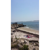 Sandi Murphy's photo