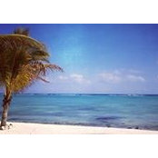 Gerardo Dominguez's photo