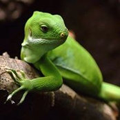 Foto de Antonio Lassiter
