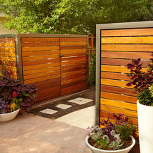 back yard