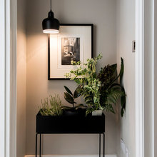 Plants