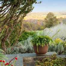 Landscape Ideas
