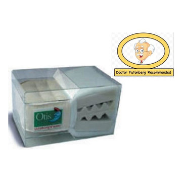 Stratosphere Foam Futon Mattress By Otis Bed - Best Rated