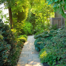 Side Yard
