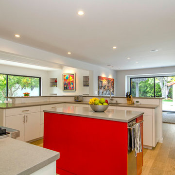 Midcentury modern kitchen with stainless steel ventilation