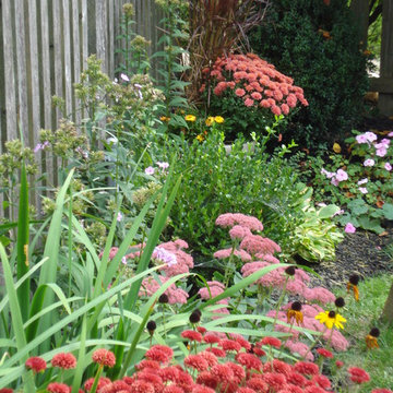 Backyard Garden