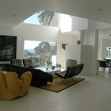 Single Family Contemporary Homes
